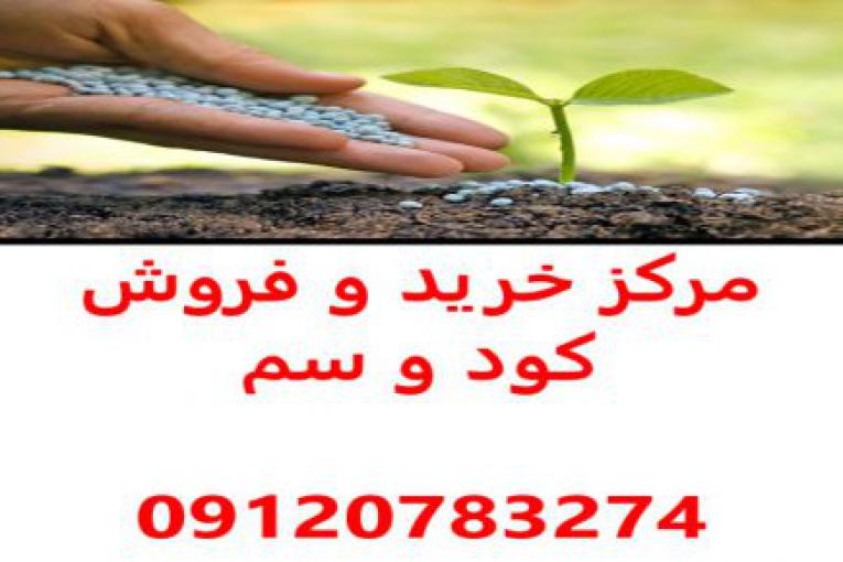مرکز فروش کود و سم بندرعباس هرمزگان - مرکز خرید کود و سم بندرعباس هرمزگان