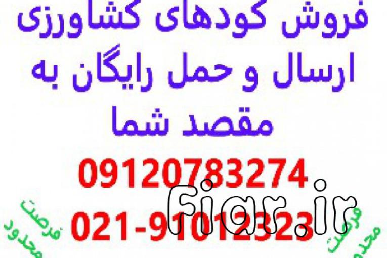 فروش ویژه کودهای کشاورزی و صنعتی و پالایشگاهی با ارسال و حمل رایگان در ایران