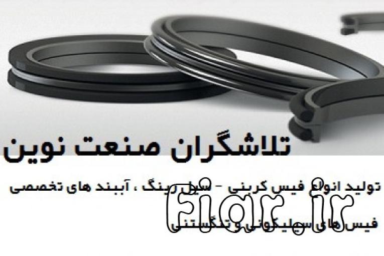 تولید و تامین انواع فیس کربنی ، سیل رینگ و آببندهای تخصصی