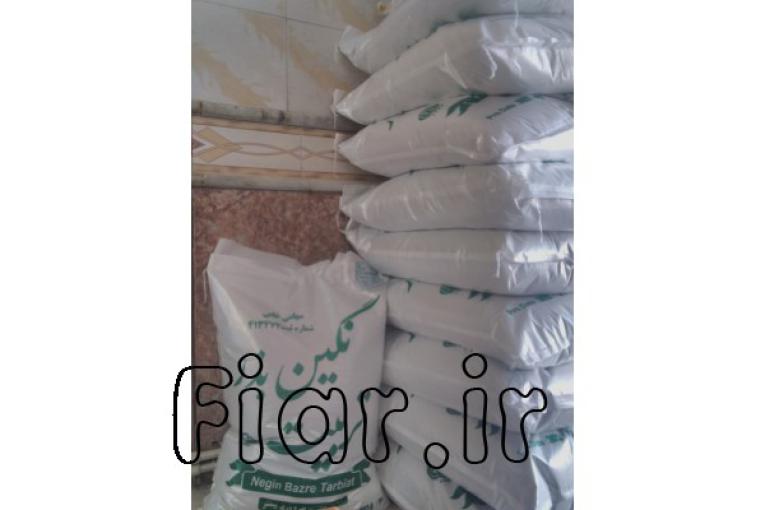 فروش انواع بذر یونجه سردسیری و گرمسیری با قیمت دست اول