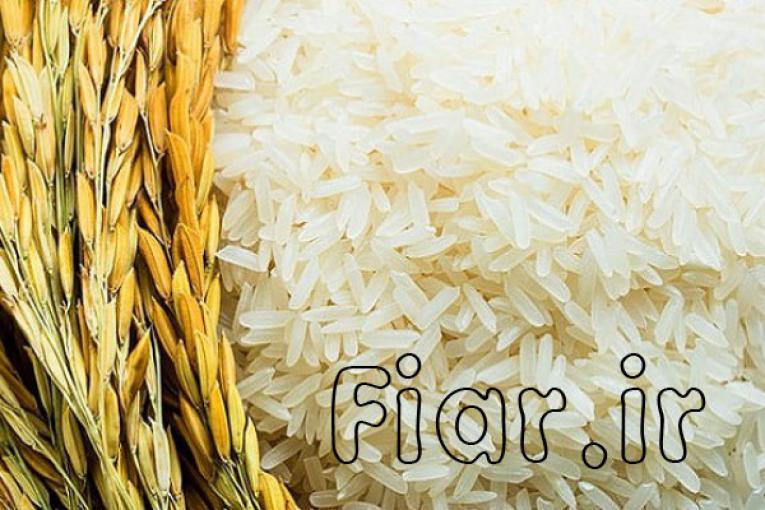 فروش برنج ایرانی در ساوه