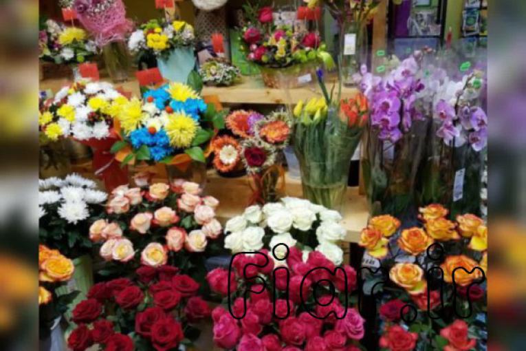 پیش فروش غرفه های 18 متری بازار گل و گیاه (عباس آباد)