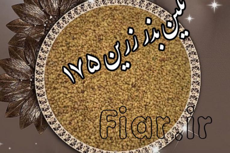فروش بذر یونجه و بذر علوفه