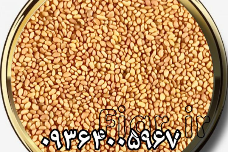 فروش بذر یونجه و بذر علوفه برای تمام مناطق