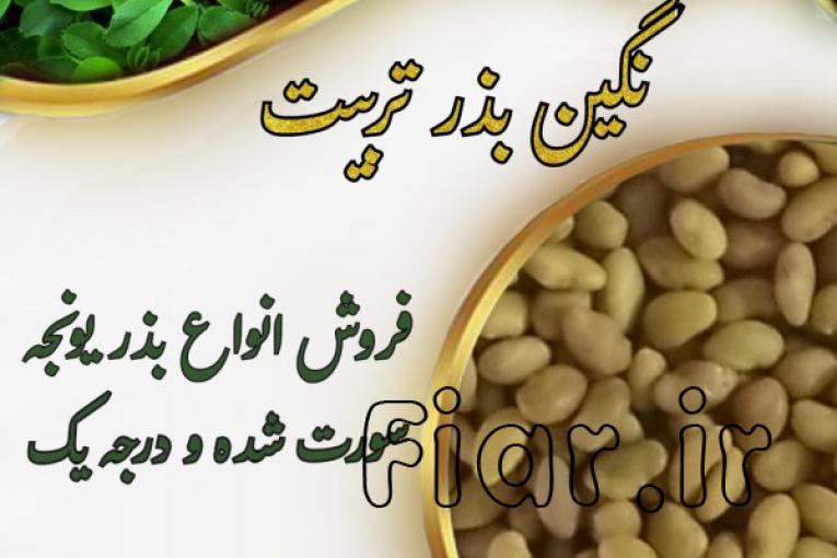 فروش بذر یونجه و بذر علوفه سورت شده و درجه یک
