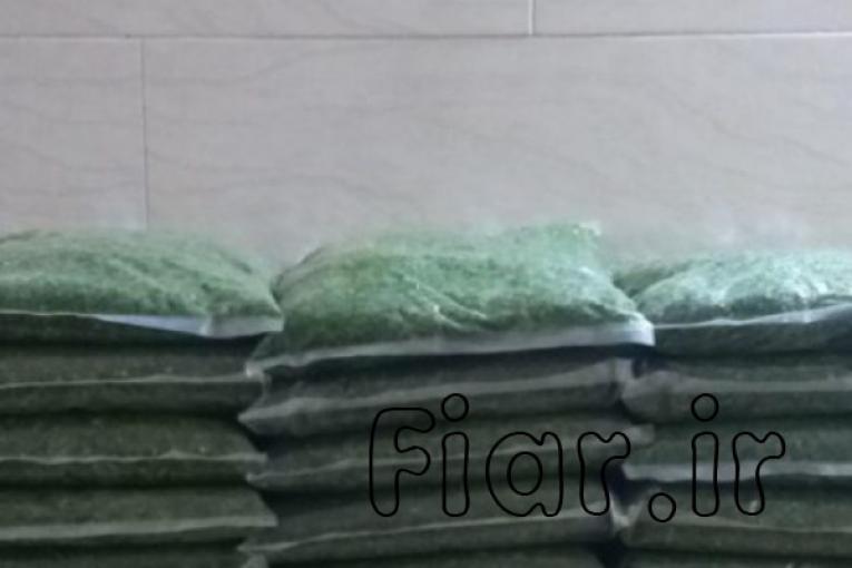 سبزیجات ارگانیک پالیز