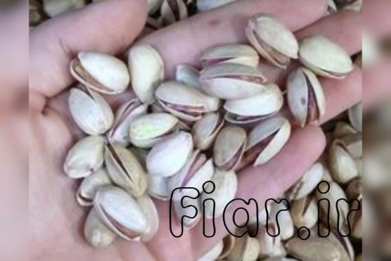 فروش پسته با کیفیت فوق العاده و خوش طعم