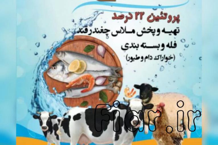 تهیه پخش وفروش ملاس چغندر قند