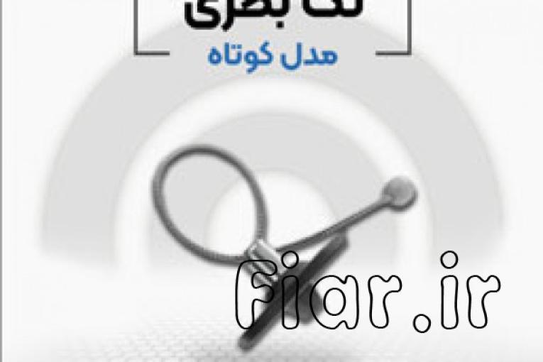 دزدگیر بطری فروشگاهی