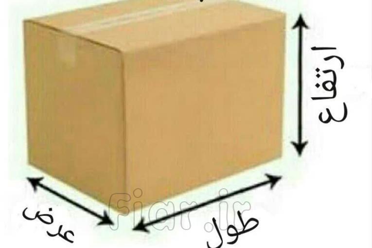 کارتن سازی پویان