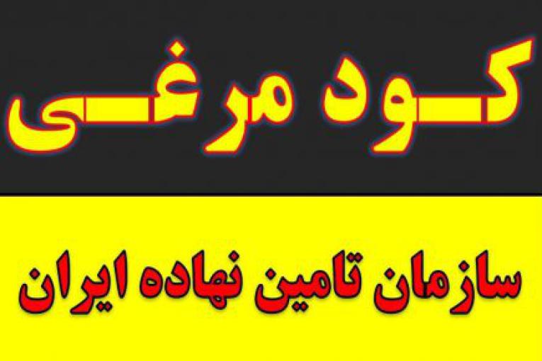 خرید و فروش کود مرغی از هرمزگان