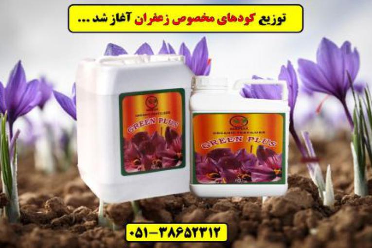 بهترین کود زعفران.Saffron fertilizer.قیمت کود زعفران.کود مایع زعفران بیرجند و قاین