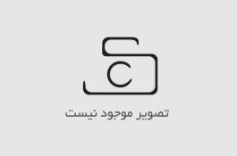 اندازه‌گيري مساحت سطح کاتالیست و پایه با روش BET
