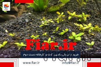 خاک دیاتومه ( کیزلقور)